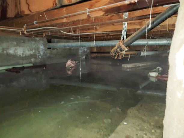 Best 24/7 water damage repair  in Altamont, OR