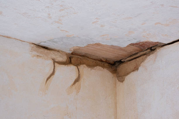 Best Flood damage cleanup  in Altamont, OR