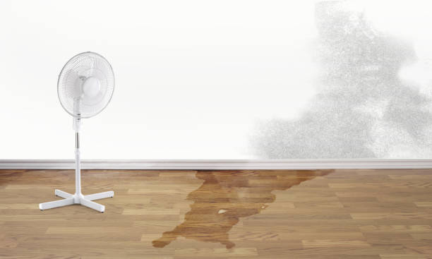 Best Flooded house restoration  in Altamont, OR