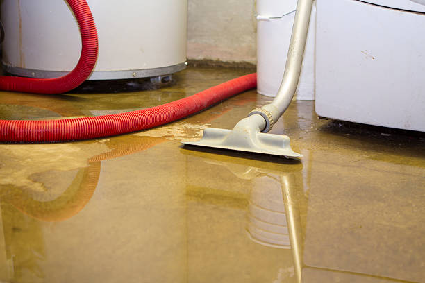 Best Flood restoration services  in Altamont, OR