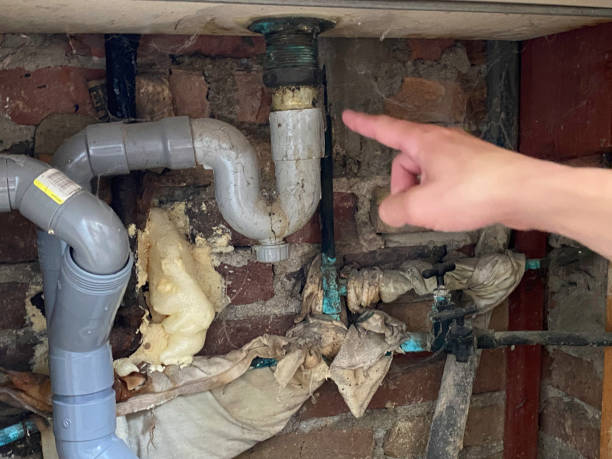 Best Water damage cleanup near me  in Altamont, OR