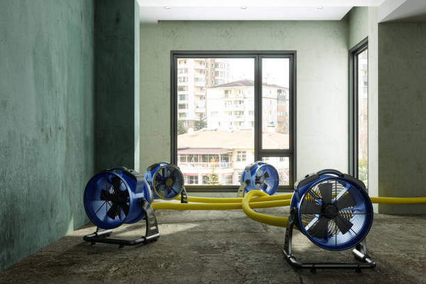 Best Water damage contractors near me  in Altamont, OR