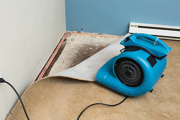 Best Residential water damage restoration  in Altamont, OR